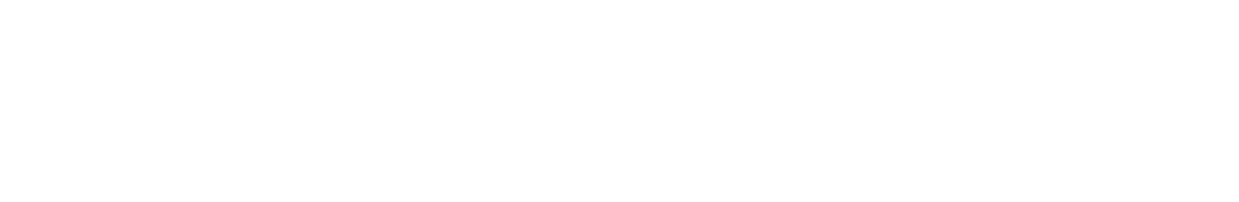 Meester